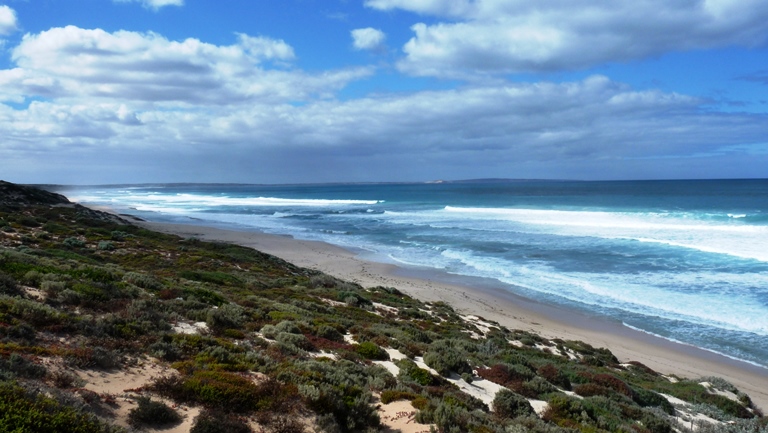 Hally's Beach